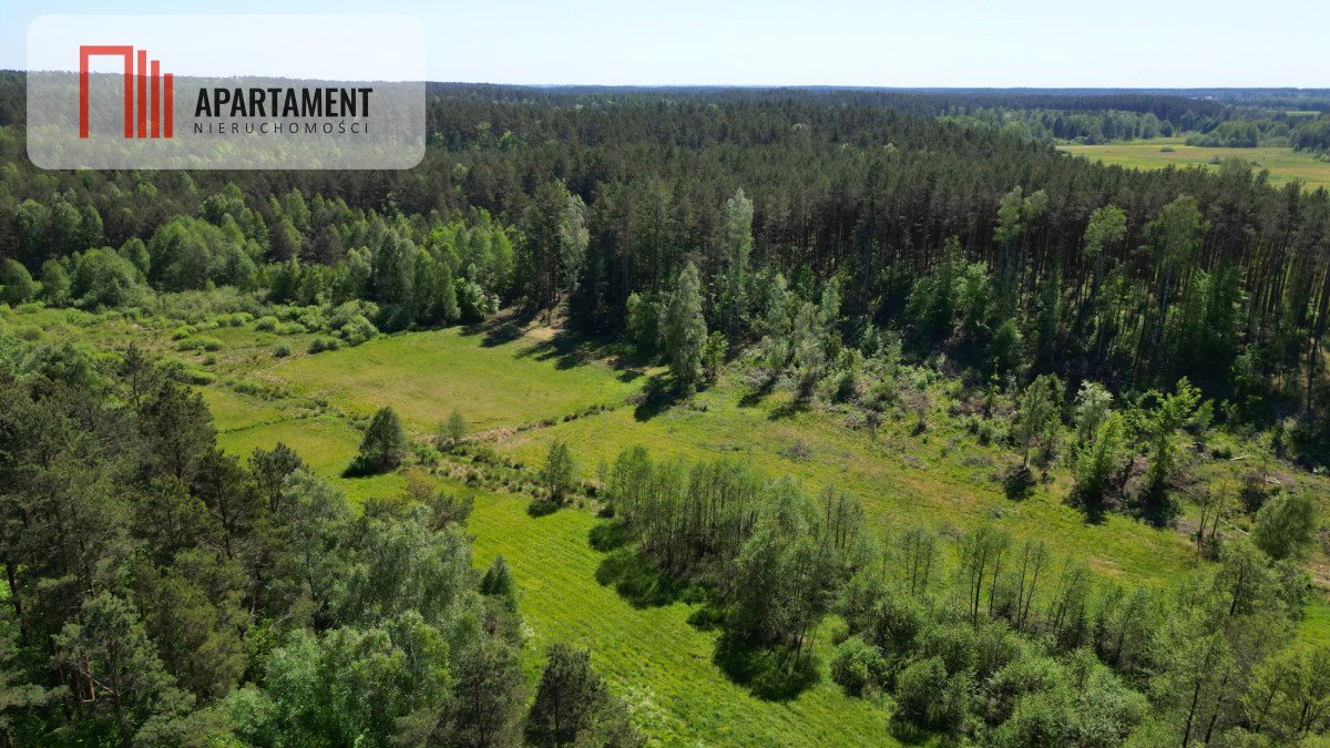 Działka budowlana na sprzedaż Borzechowo  46 200m2 Foto 7