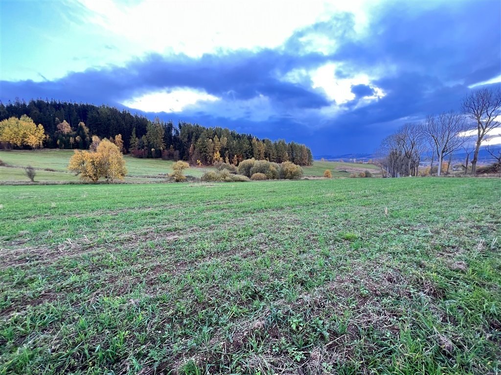 Działka budowlana na sprzedaż Krzeszów  1 388m2 Foto 5