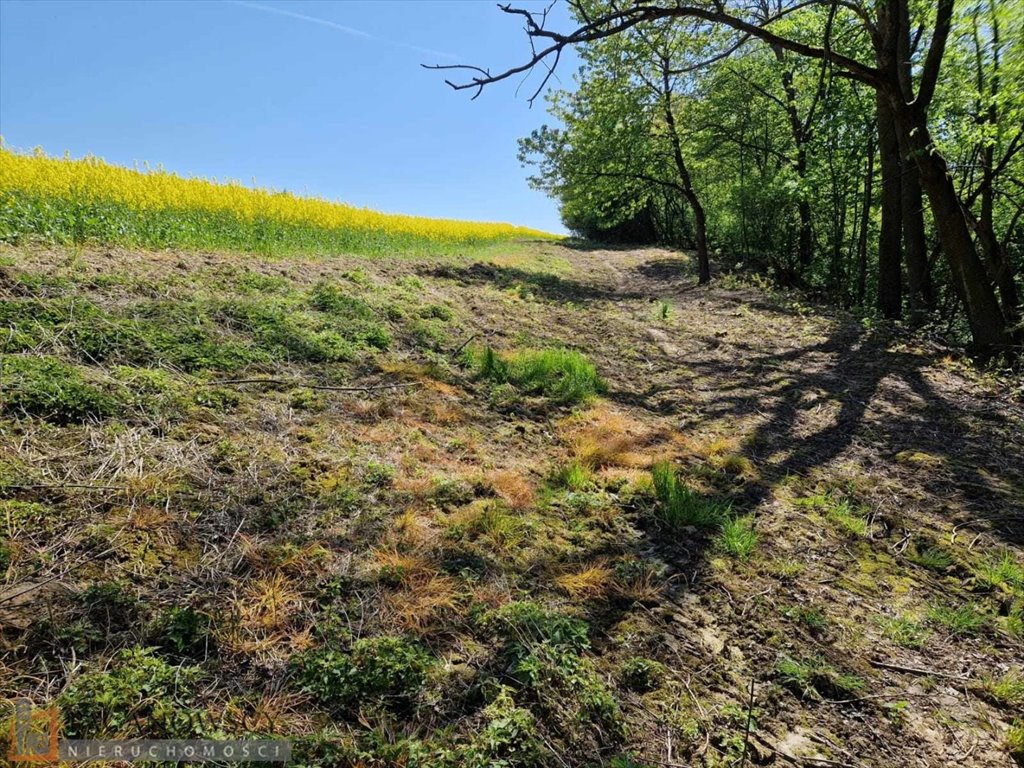 Działka budowlana na sprzedaż Sułkowice  792m2 Foto 4