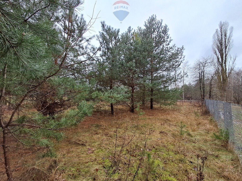 Działka budowlana na sprzedaż Paulinowo, Królowej Bony  5 000m2 Foto 11