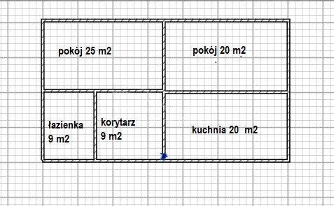 Dom na sprzedaż Radziejów  90m2 Foto 14