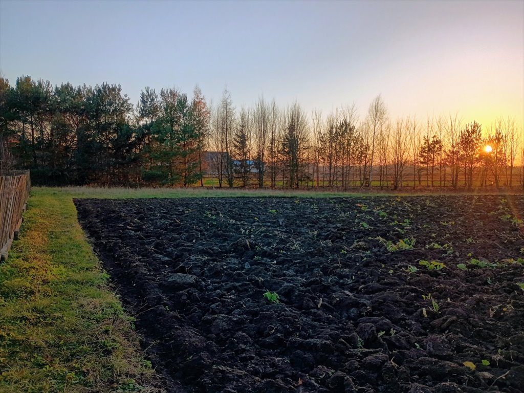 Działka budowlana na sprzedaż Dębina  1 270m2 Foto 2