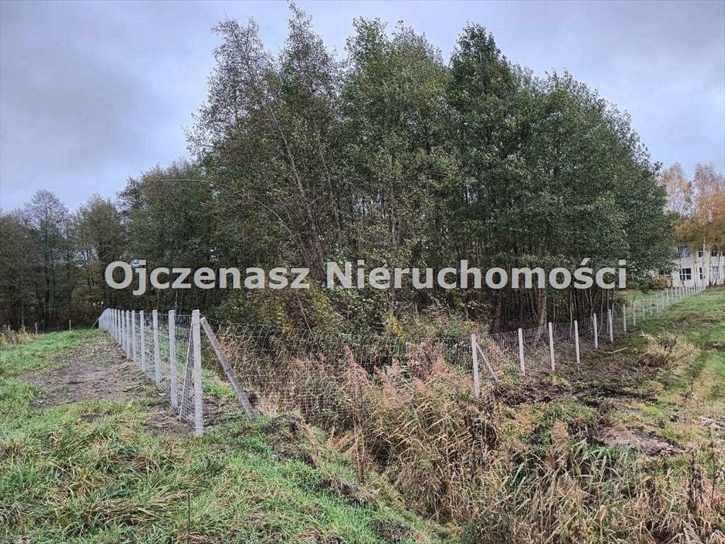 Działka 4 282 m² pod zabudowę i usługi, Kruszyn Krajeński Kruszyn Krajeński  4 282m2 Foto 1