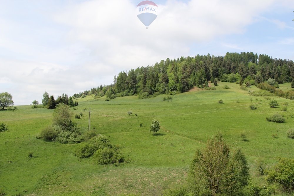 Działka leśna na sprzedaż Krośnica  8 049m2 Foto 7