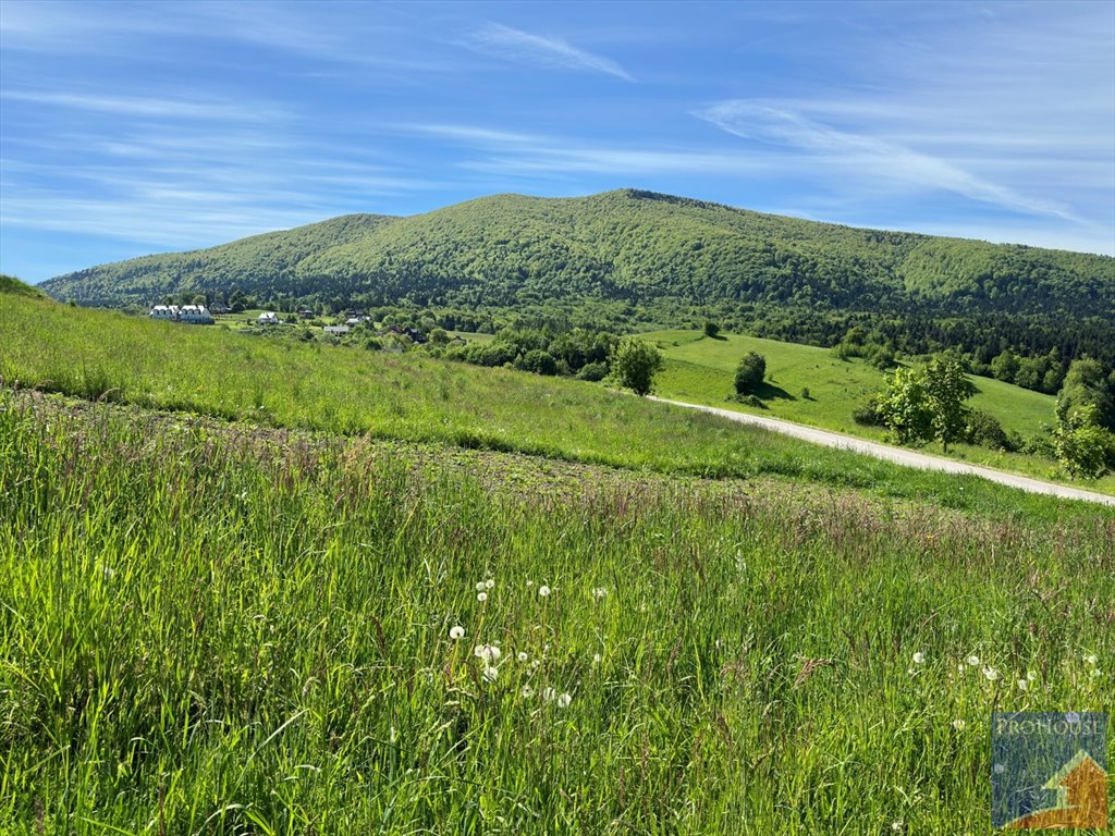 Działka budowlana na sprzedaż Skrzydlna  7 400m2 Foto 6