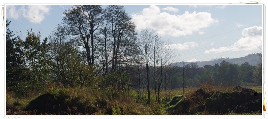 Działka rolna na sprzedaż Wejherowo, Śmiechowo, Fenikowskiego  8 970m2 Foto 10