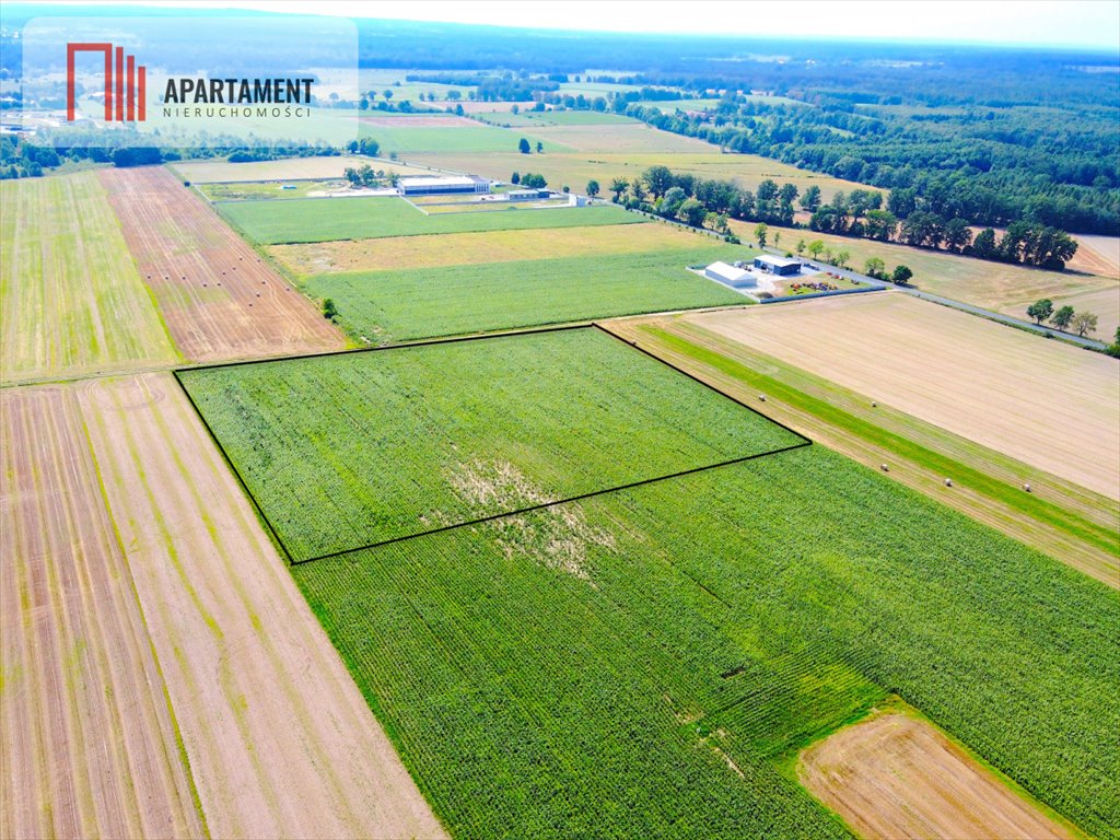 Działka przemysłowo-handlowa na sprzedaż Milicz  10 000m2 Foto 1