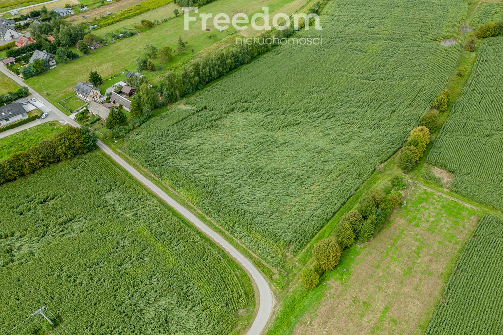 Działka budowlana na sprzedaż Wojnicz  15 850m2 Foto 5