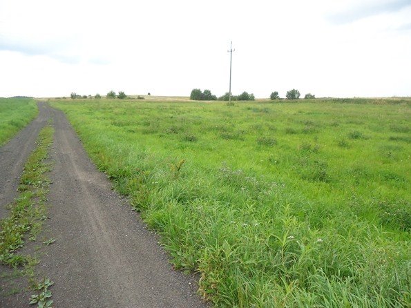 Działka budowlana na sprzedaż Sorkwity, Sorkwity, Pustniki  1 250m2 Foto 1