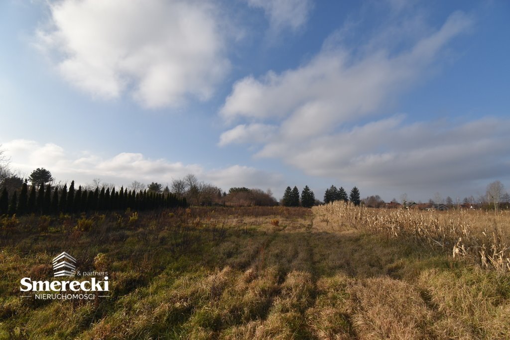 Działka budowlana na sprzedaż Okszów, Sosnowa  3 966m2 Foto 3