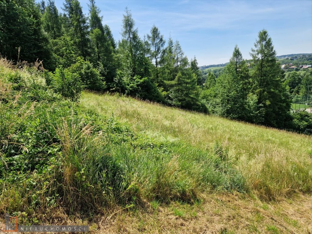 Działka budowlana na sprzedaż Michałowice  1 380m2 Foto 2