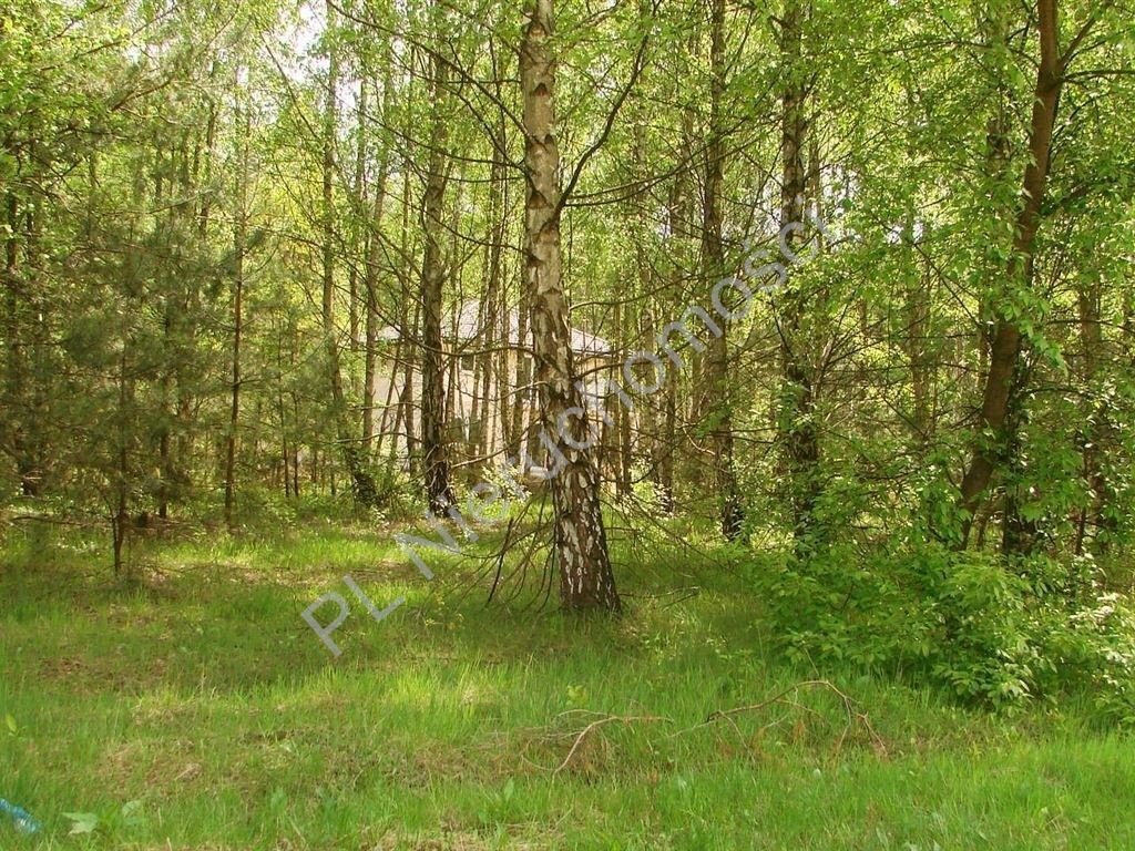 Działka 3 800 m² pod dom jednorodzinny w Książenicach Książenice  3 800m2 Foto 1