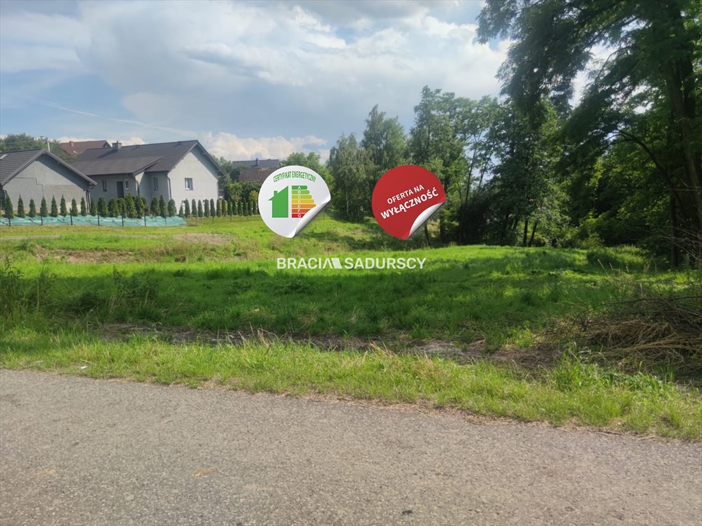 Działka budowlana na sprzedaż Biskupice, Zabłocie  3 000m2 Foto 14