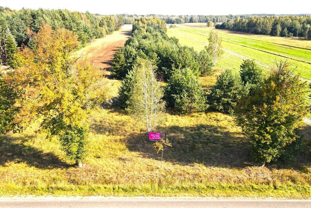 Działka rolna na sprzedaż Kolonia Paplin  13 300m2 Foto 2