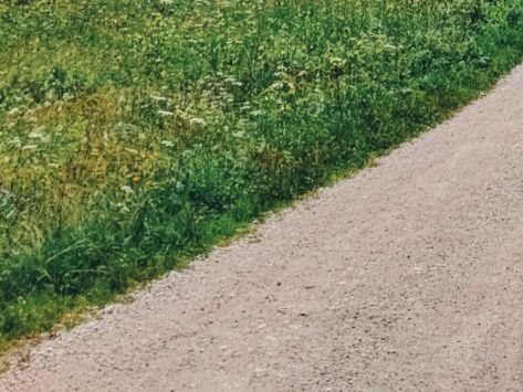 Działka gospodarstwo rolne na sprzedaż Kudrycze  3 000m2 Foto 2