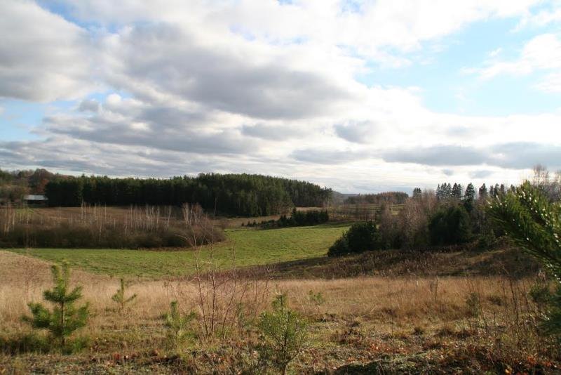 Działka inna na sprzedaż Borzestowo, bez nazwy  43 288m2 Foto 4