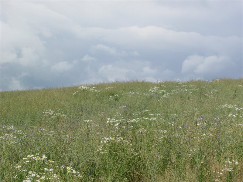 Działka rolna na sprzedaż Łagówek 7 200m2 Foto 1 Działka rolna na sprzedaż Łagówek 7 200m2 Foto 1