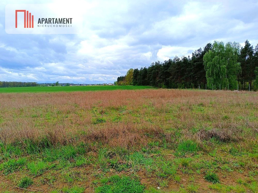 Działka z warunkami zabudowy, las, prąd i woda, 1022 m2 Tryszczyn, Leśna  1 022m2 Foto 1