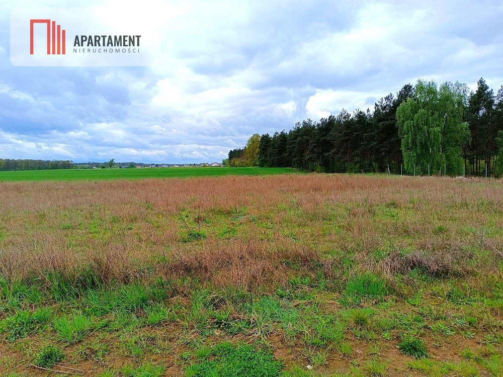 Działka budowlana na sprzedaż Tryszczyn, Leśna  1 022m2 Foto 1