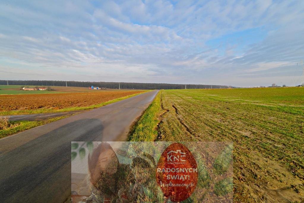 Działka 28 ar w Zemborzycach Podleśnych – idealna pod dom! Zemborzyce Podleśne  2 800m2 Foto 1