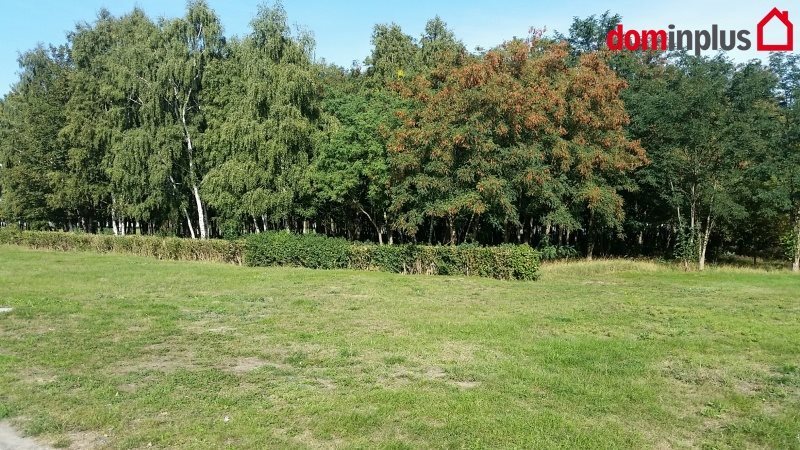 Działka inna na sprzedaż Toruń 1 000 000m2 Foto 1 Działka inna na sprzedaż Toruń 1 000 000m2 Foto 1