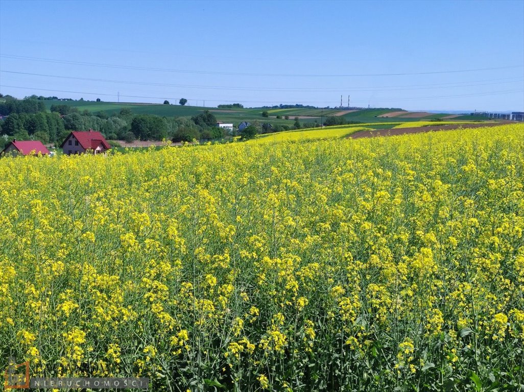 Działka rolna na sprzedaż Węgrzce  4 900m2 Foto 1