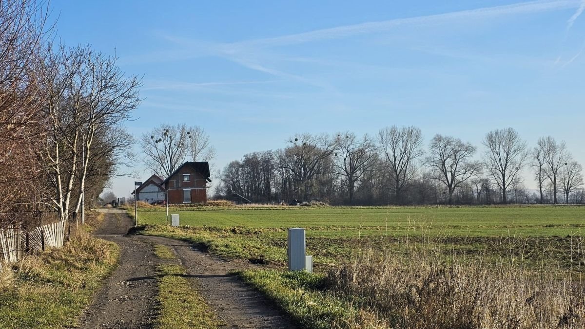 Działka budowlana na sprzedaż Książnica  1 200m2 Foto 6