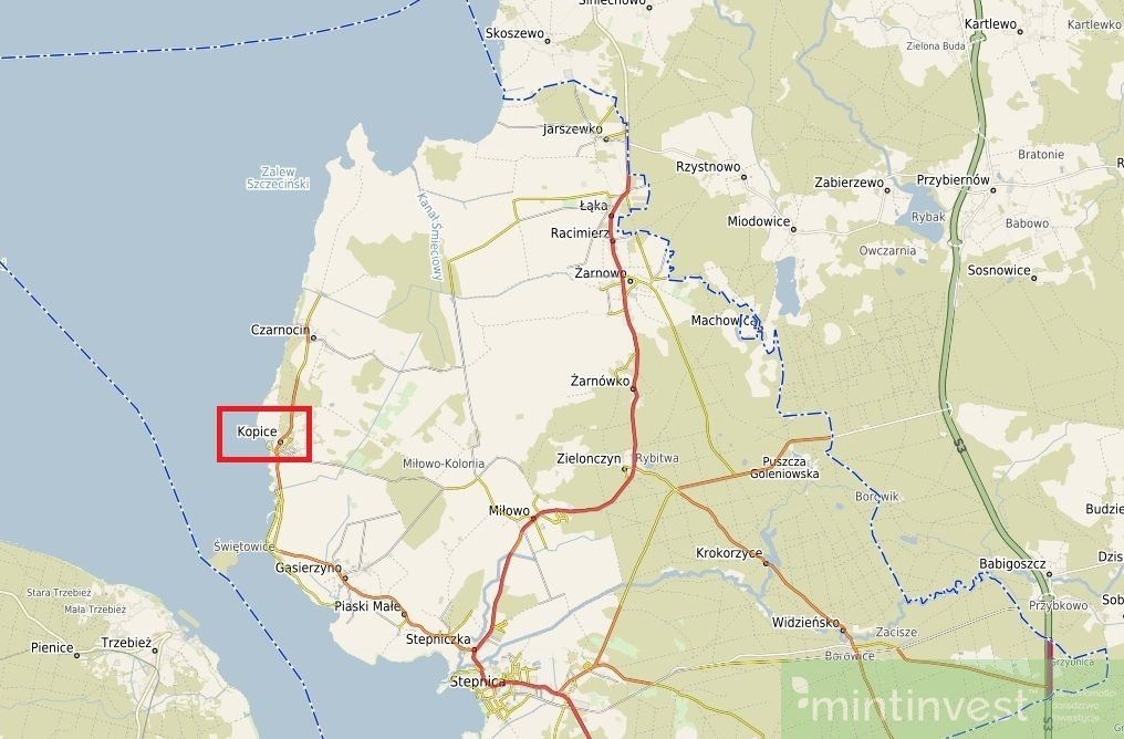 Działka rolna 56 ha z dotacjami UE i pełną dokumentacją Stepnica  566 458m2 Foto 1