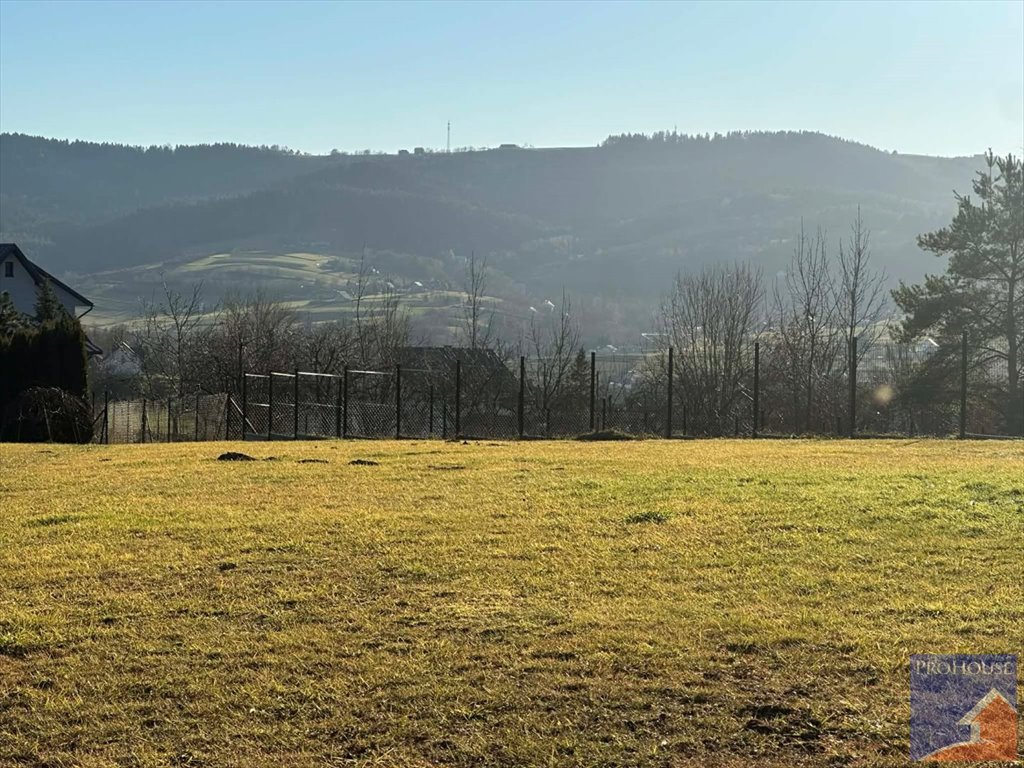 Polecam działkę 2000 m² z warunkami zabudowy w Kłodnem Kłodne  2 000m2 Foto 1