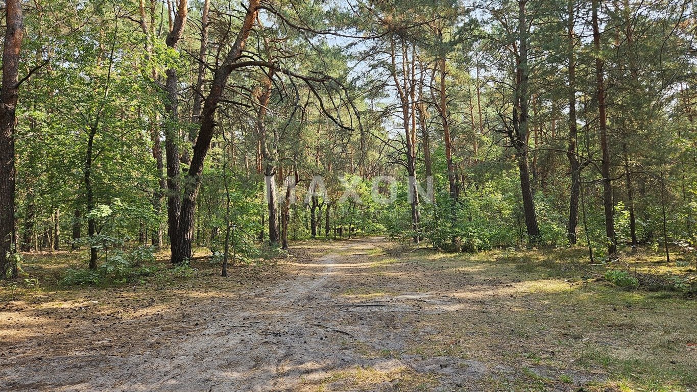 Działka budowlana na sprzedaż Józefów, Michalin  3 814m2 Foto 7