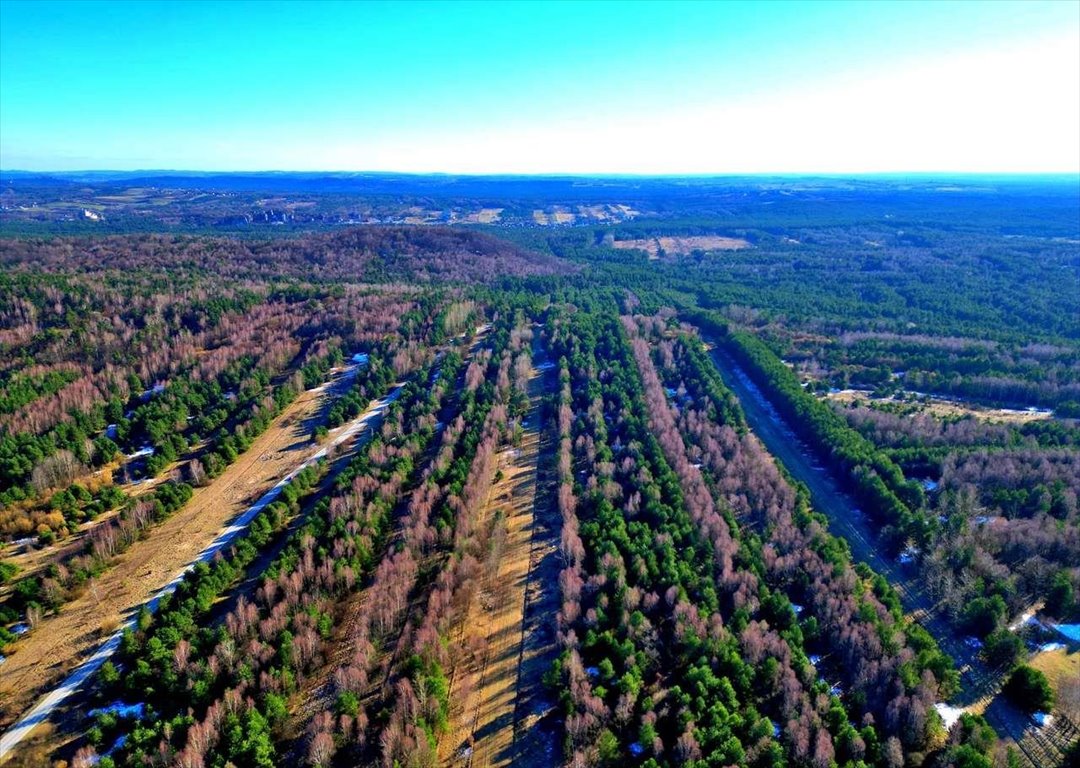 Działka rolna na sprzedaż Niegowa  3 233m2 Foto 4