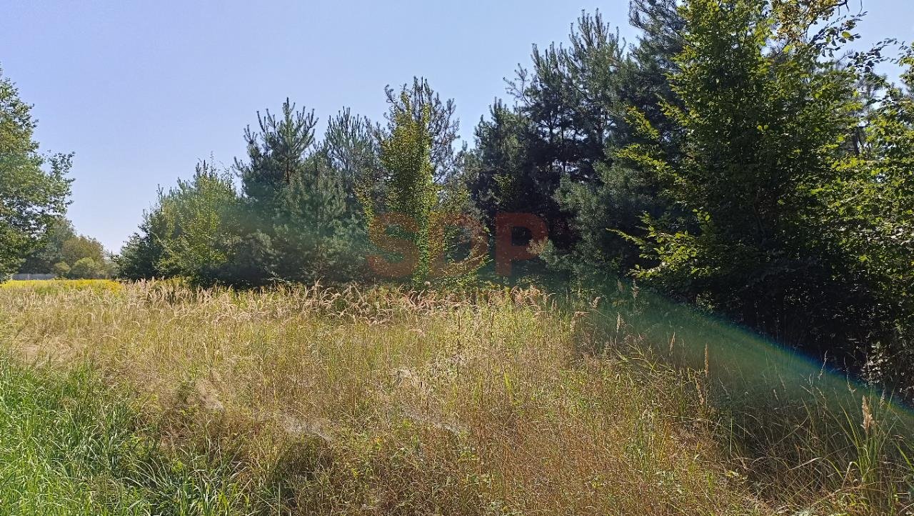 Działka budowlana na sprzedaż Kotowice, Leśna  3 000m2 Foto 8