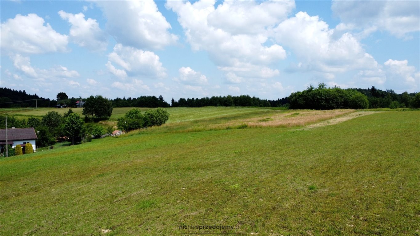 Działka budowlana na sprzedaż Gromnik, Rzepiennik Marciszewski, Rzepiennik Marciszewski, Rzepiennik Marciszewski  3 675m2 Foto 3