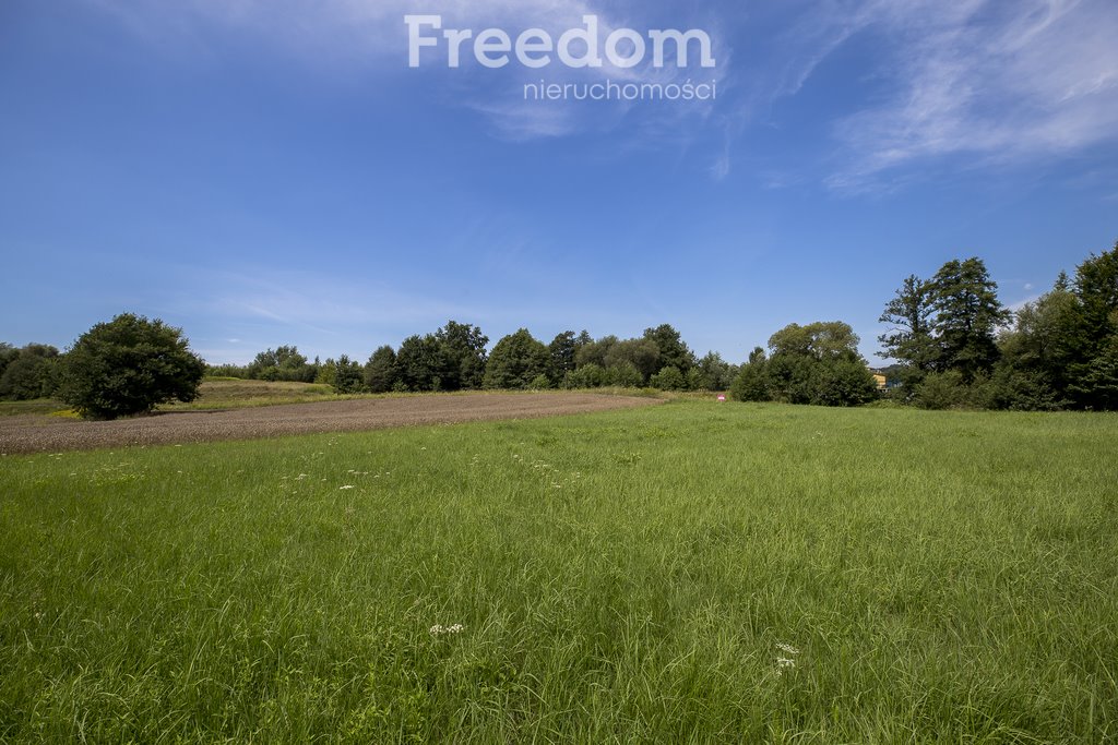 Działka rolna na sprzedaż Cieszyna  9 593m2 Foto 15