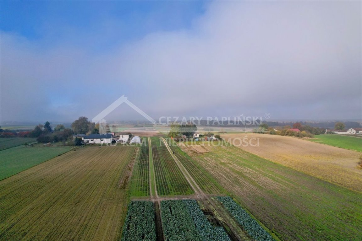 Działka budowlana na sprzedaż Zezulin Niższy, Zezulin  10 017m2 Foto 8