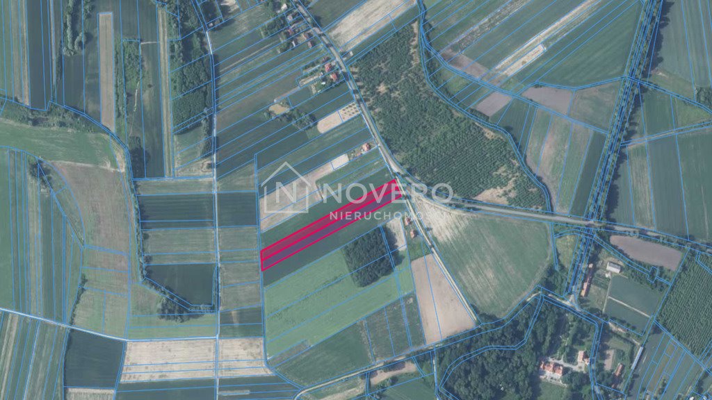 Działka 1,5 ha z dostępem do mediów i zielenią Wysocko  15 523m2 Foto 1