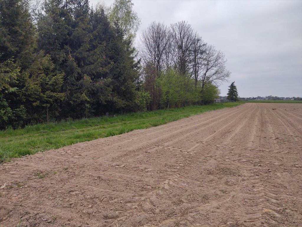 Działka siedliskowa na sprzedaż Pruchna  11 560m2 Foto 1