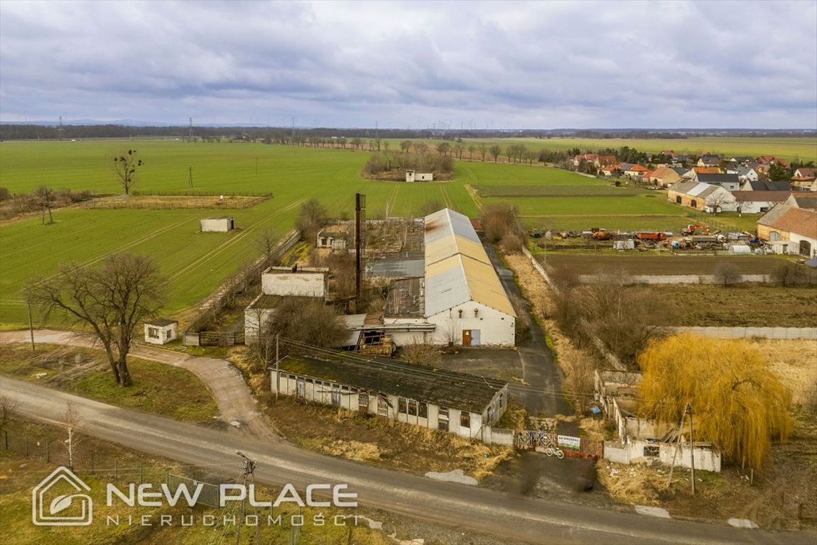 Magazyn na sprzedaż Jankowice Wielkie  2 052m2 Foto 9