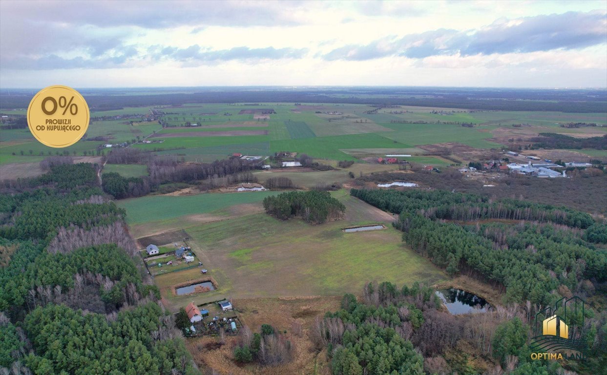 Działka gospodarstwo rolne na sprzedaż Potrzanowo  67 079m2 Foto 1