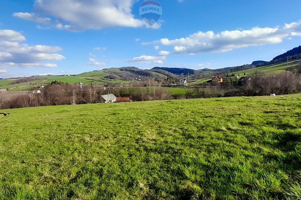 Działka budowlana na sprzedaż Stróża  1 284m2 Foto 4