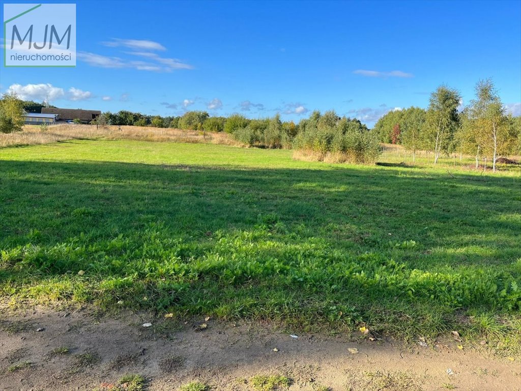 Działka budowlana na sprzedaż Golczewo  3 002m2 Foto 3