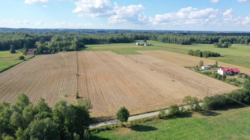 Działka budowlana na sprzedaż Przytuły  3 001m2 Foto 12