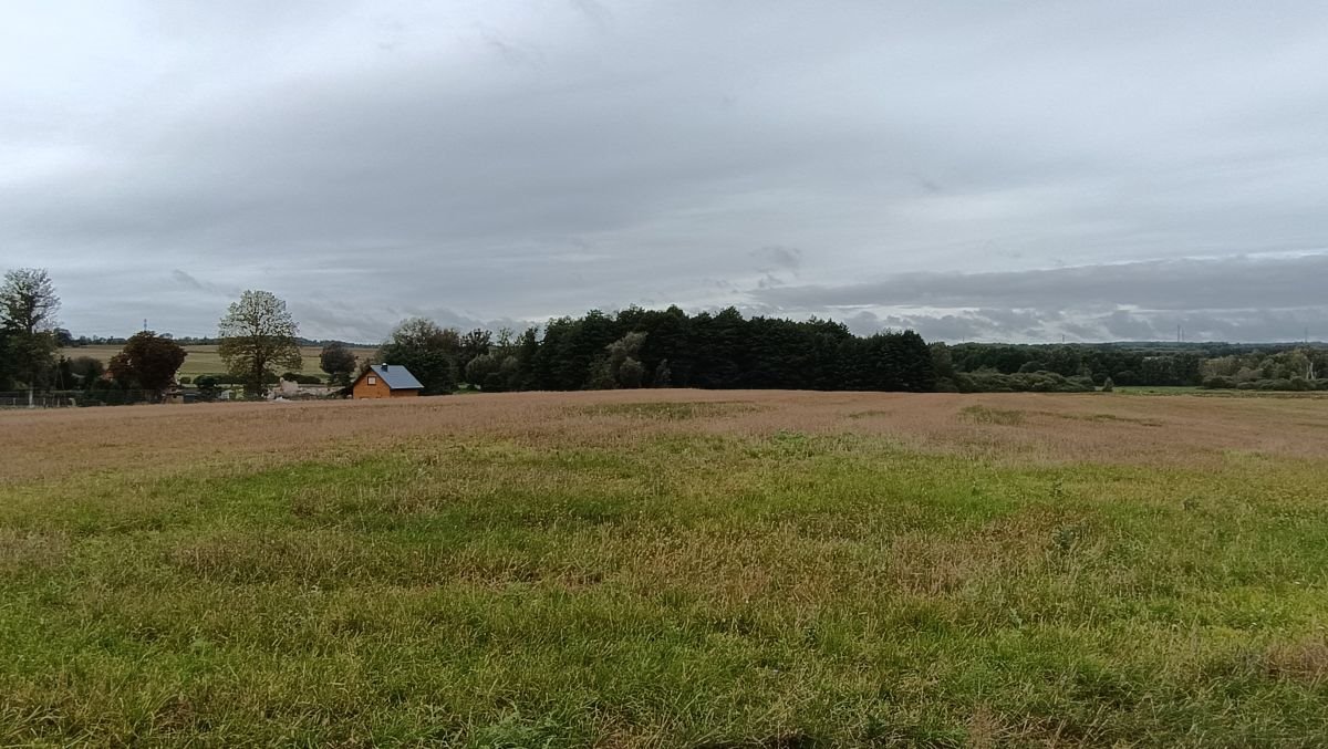 Sprzedam duże działki rolne w Ełganowie z możliwością zabudowy Ełganowo, Teodora Wrzesińskiego  3 200m2 Foto 1