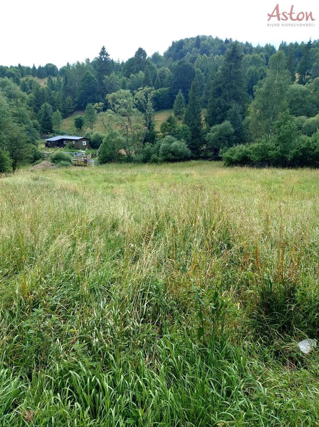 Działka siedliskowa na sprzedaż Laliki  2 100m2 Foto 1