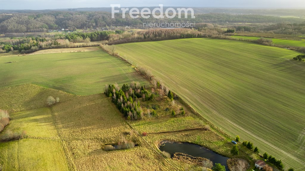 Działka budowlana na sprzedaż Klonowo Górne, Świerkowa  3 987m2 Foto 3