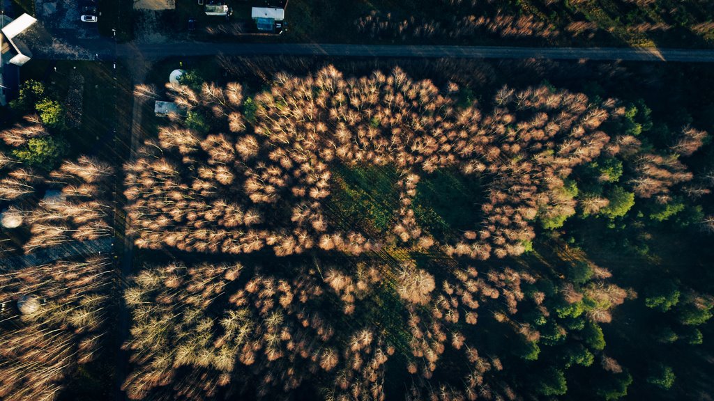 Działka budowlana na sprzedaż Piątek  1 391m2 Foto 3