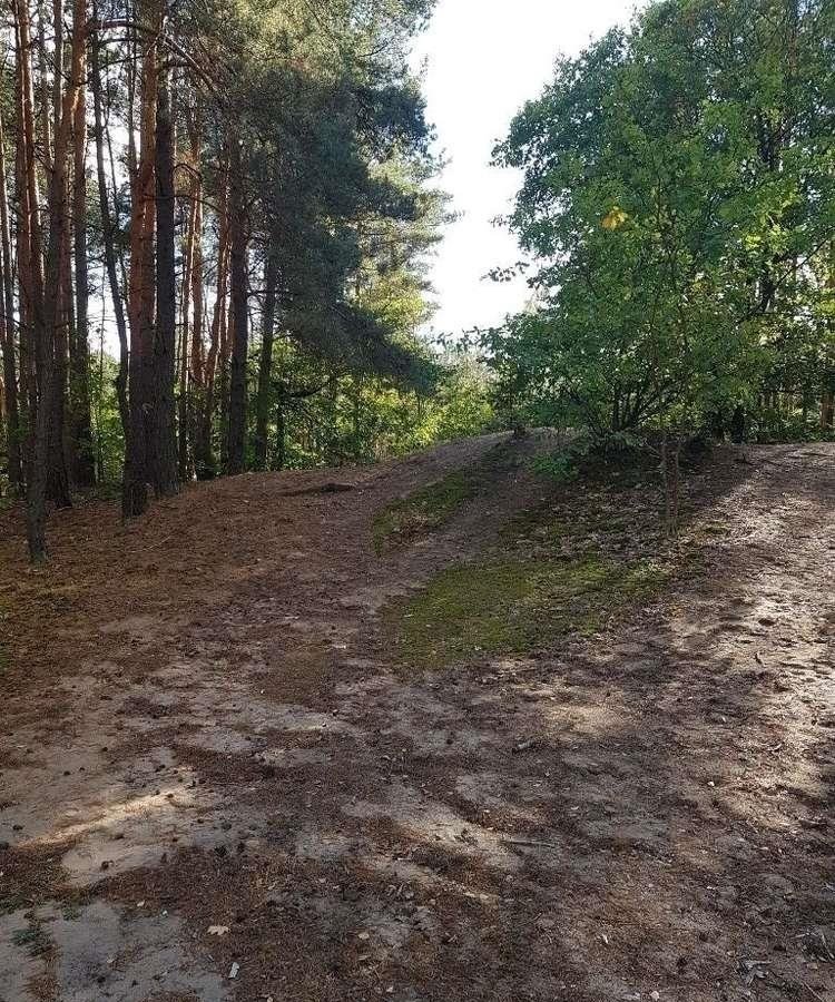 Działka budowlana na sprzedaż Warszawa, Wesoła, Dębowa  2 527m2 Foto 3