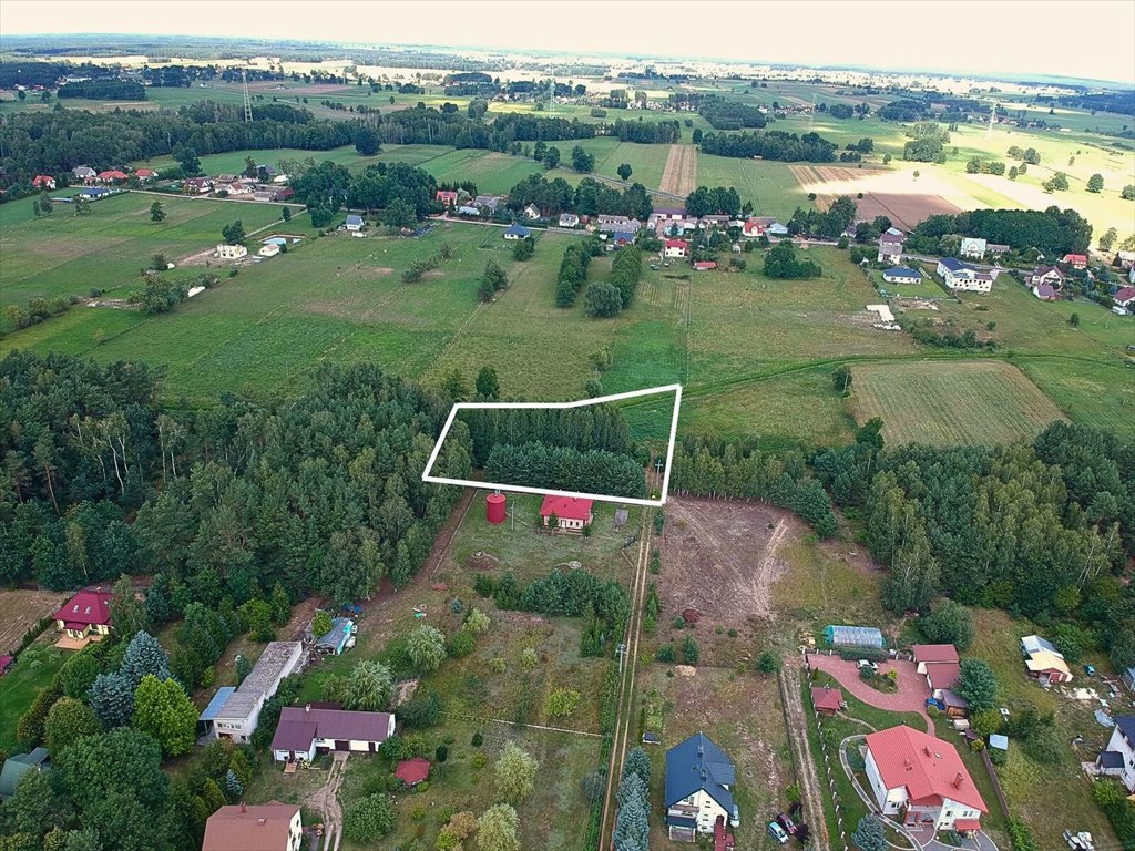 Działka budowlana na sprzedaż Olszewka, Olszewka  3 860m2 Foto 5