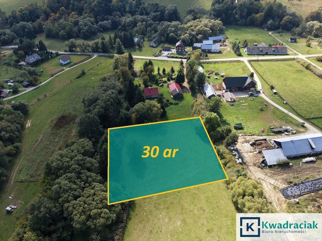 Do sprzedania działka 30 arów z warunkami zabudowy w Wujskie Wujskie  3 001m2 Foto 1