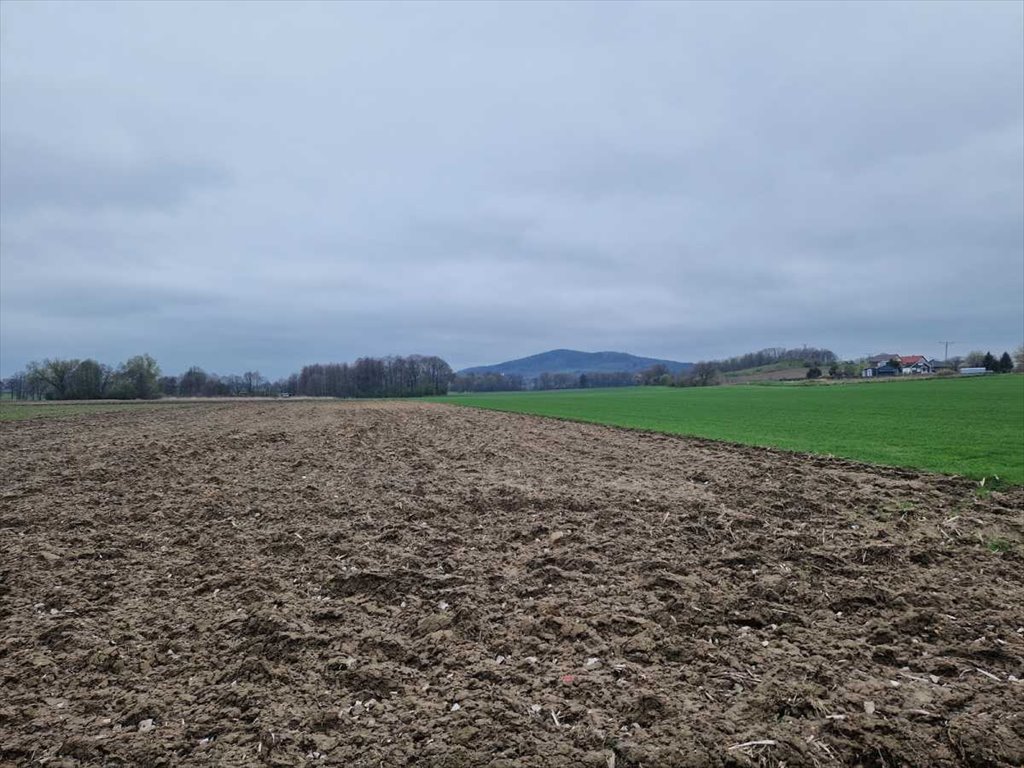 Działka inna na sprzedaż Łagiewniki, Jaźwina  5 900m2 Foto 1